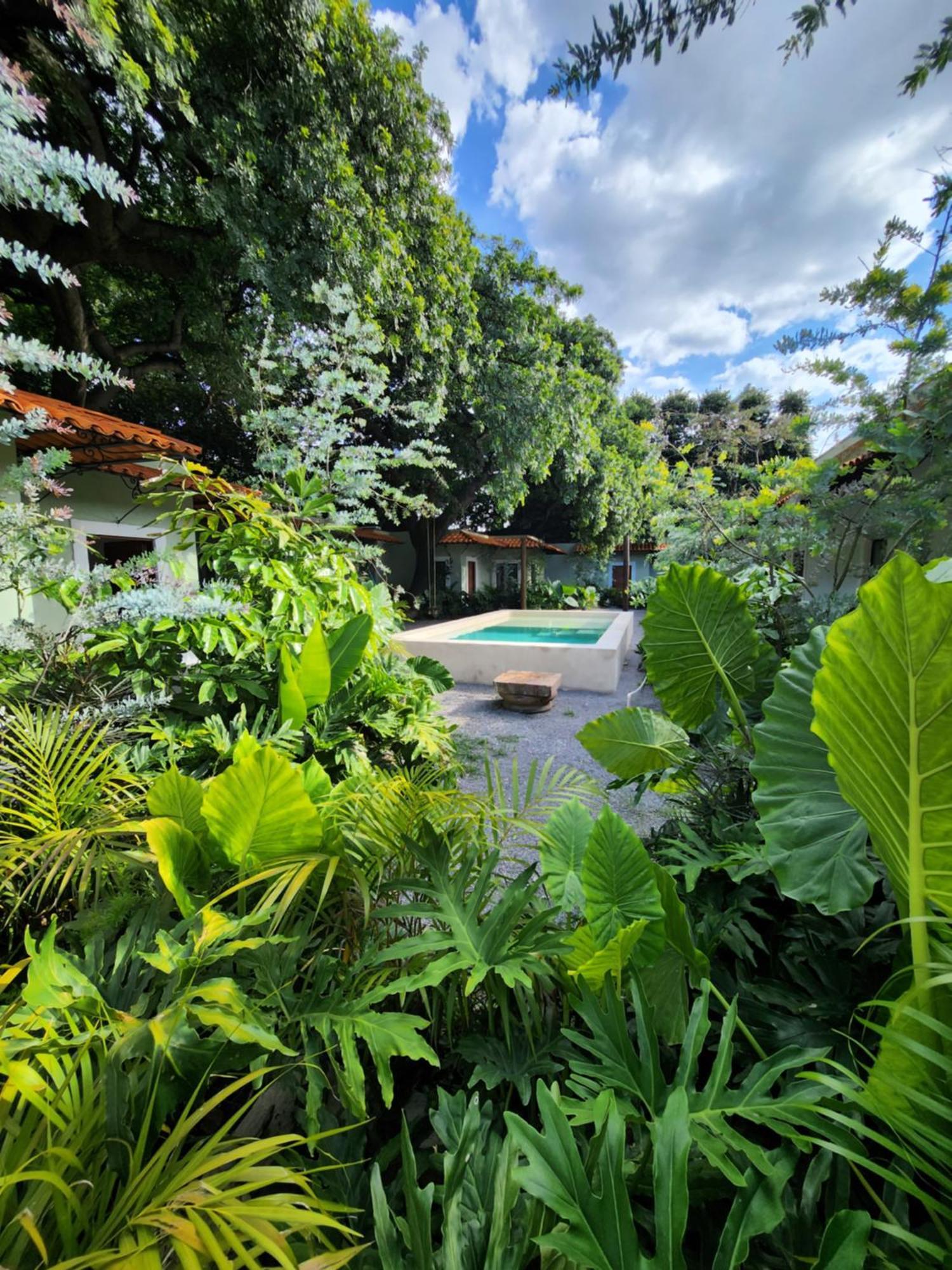 Hotel Boutique Villa Escondida, A Pasos De Lo Mejor En 틀라케파케 외부 사진
